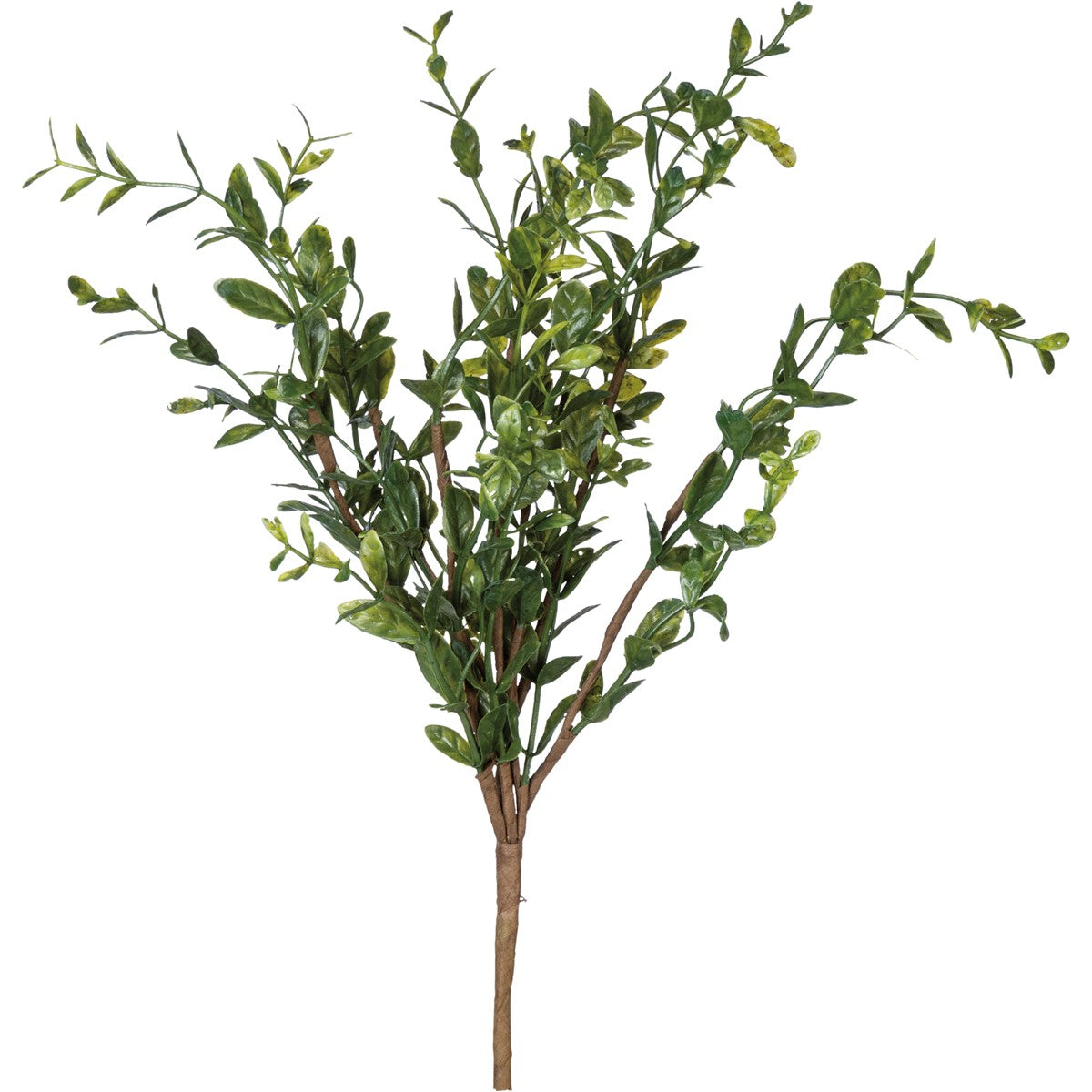 Pick - Boxwood