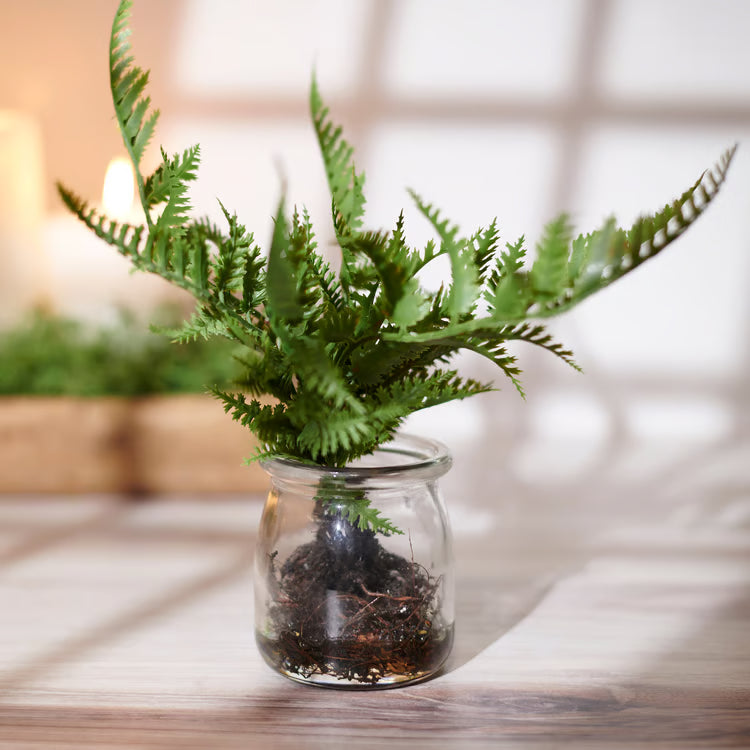 Fern Jar