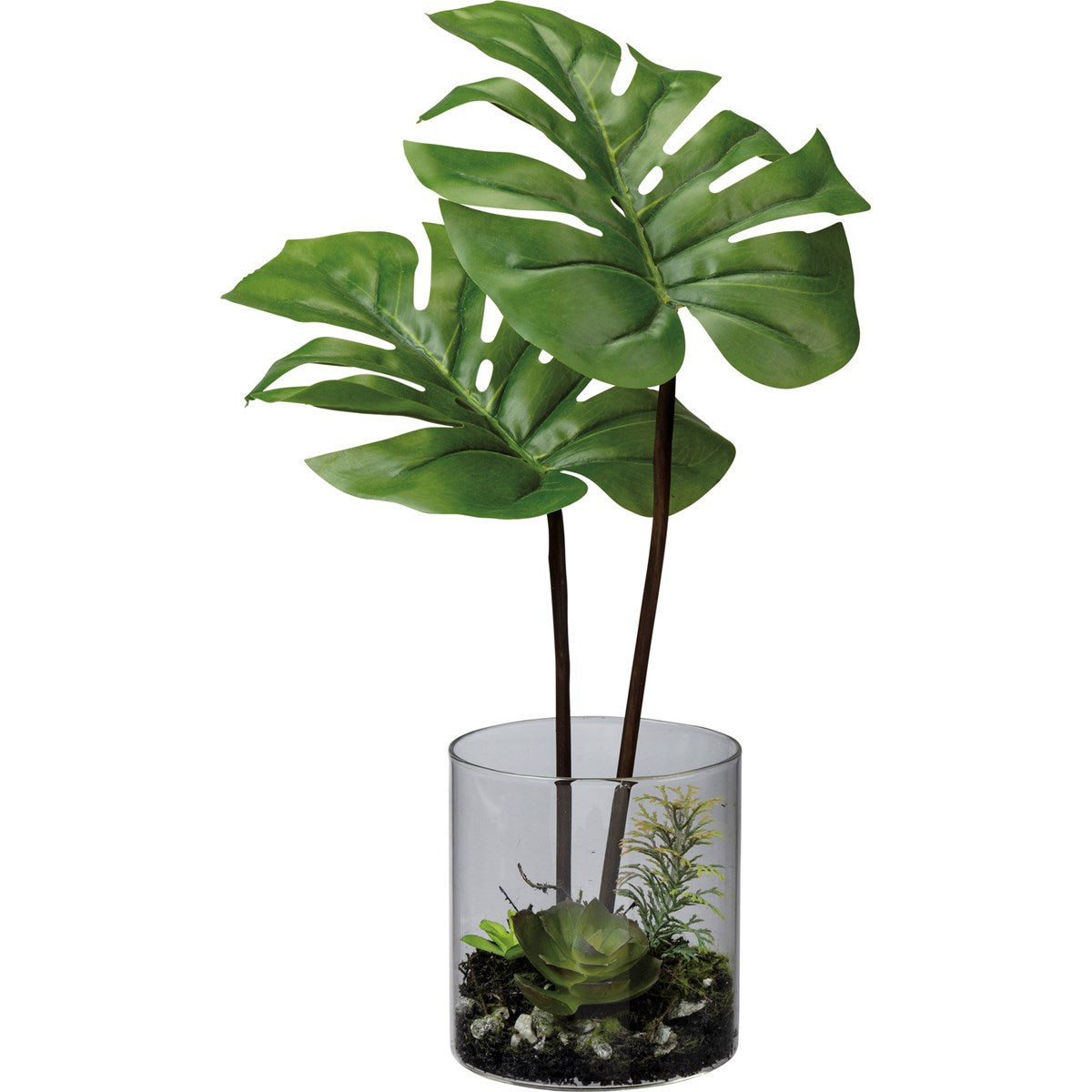 Vase - Monstera