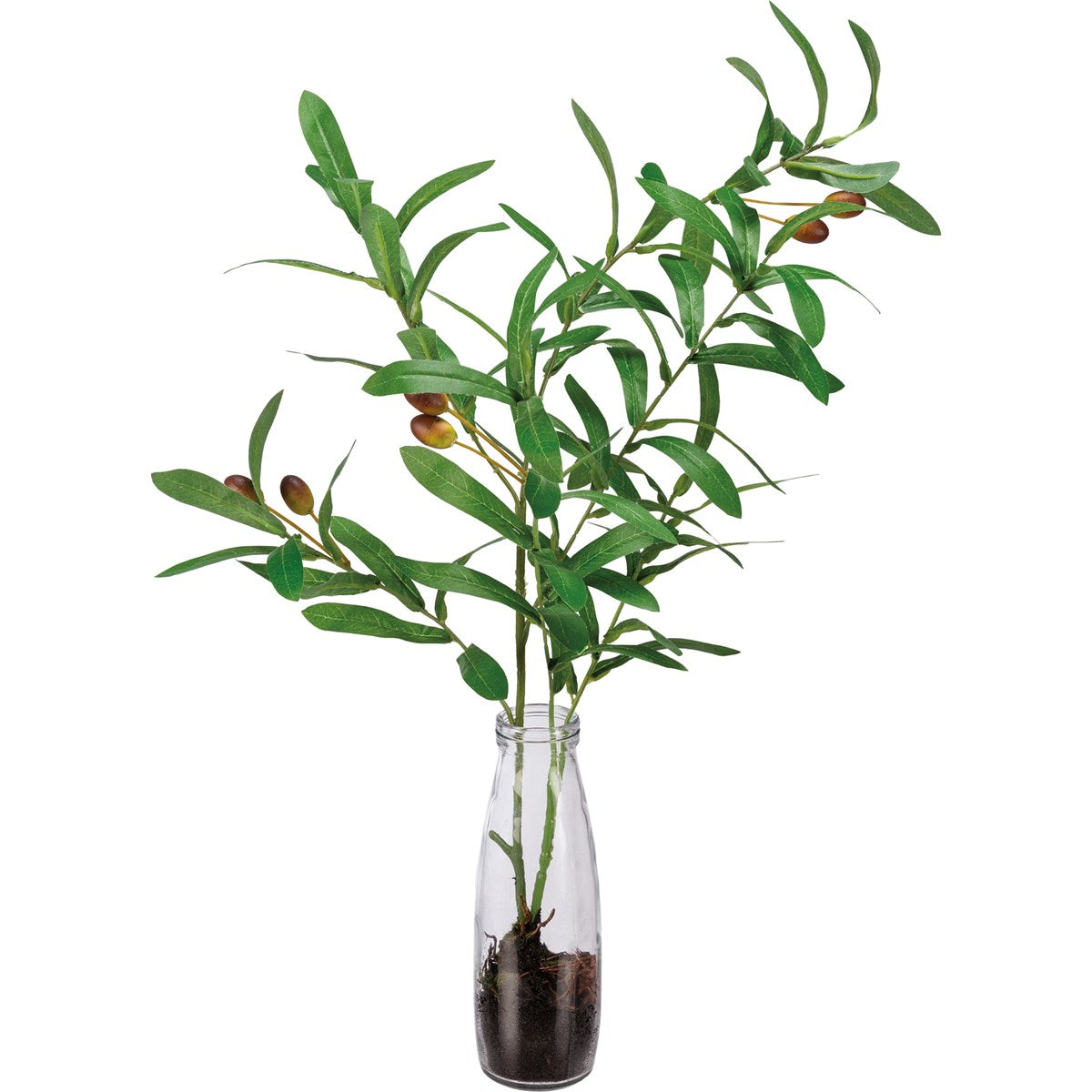 Vase - Olive Branches