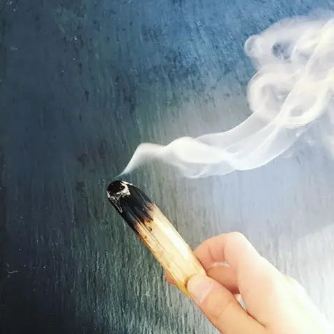 Palo Santo Bundle (3 Sticks)