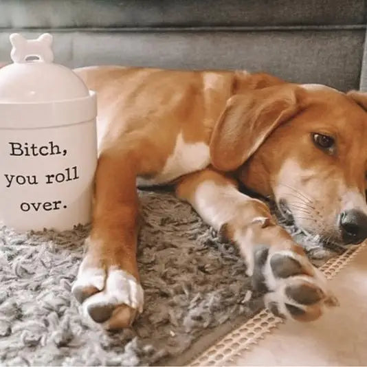 Bitch You Roll Over Glazed Ceramic Printed Dog Treat Jar