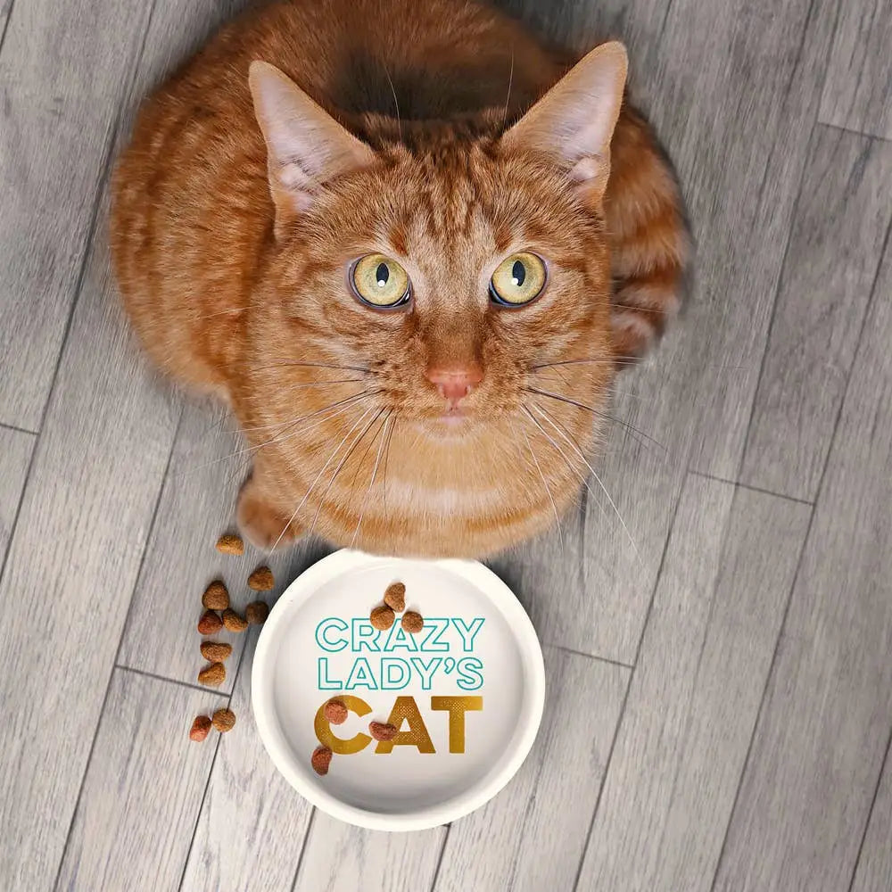 Howligans - Mug + Cat Bowl - Crazy Cat