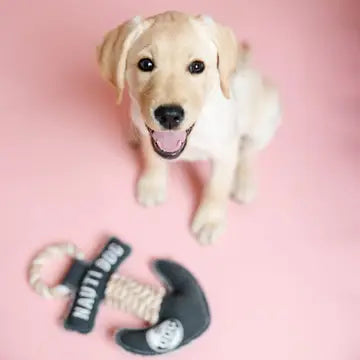 Nauti Dog Canvas Dog Toy On Rope
