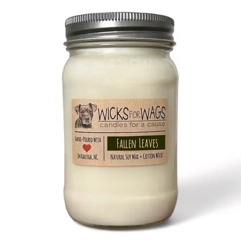 Wicks for Wags - Candles For A Cause - Large Mason Jar
