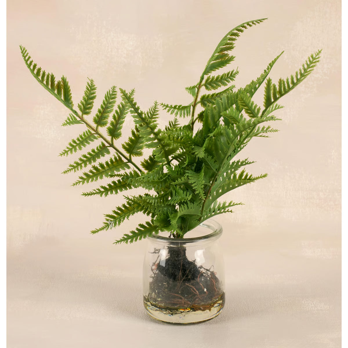 Fern Jar