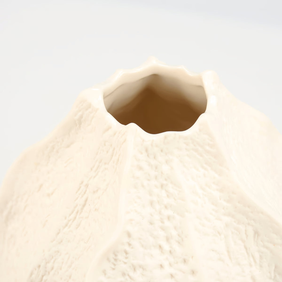 Sea Urchin Vase