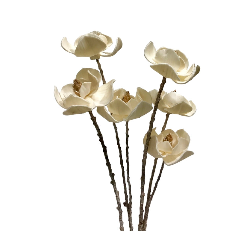 6 Stem Dogwood Flower Branches - Christmas White