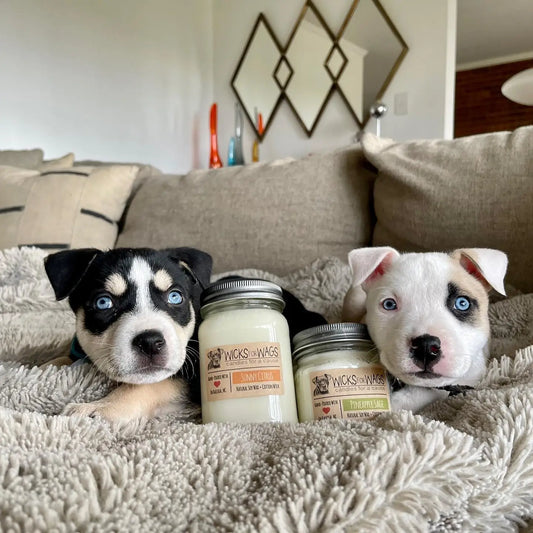 Wicks for Wags - Candles For A Cause