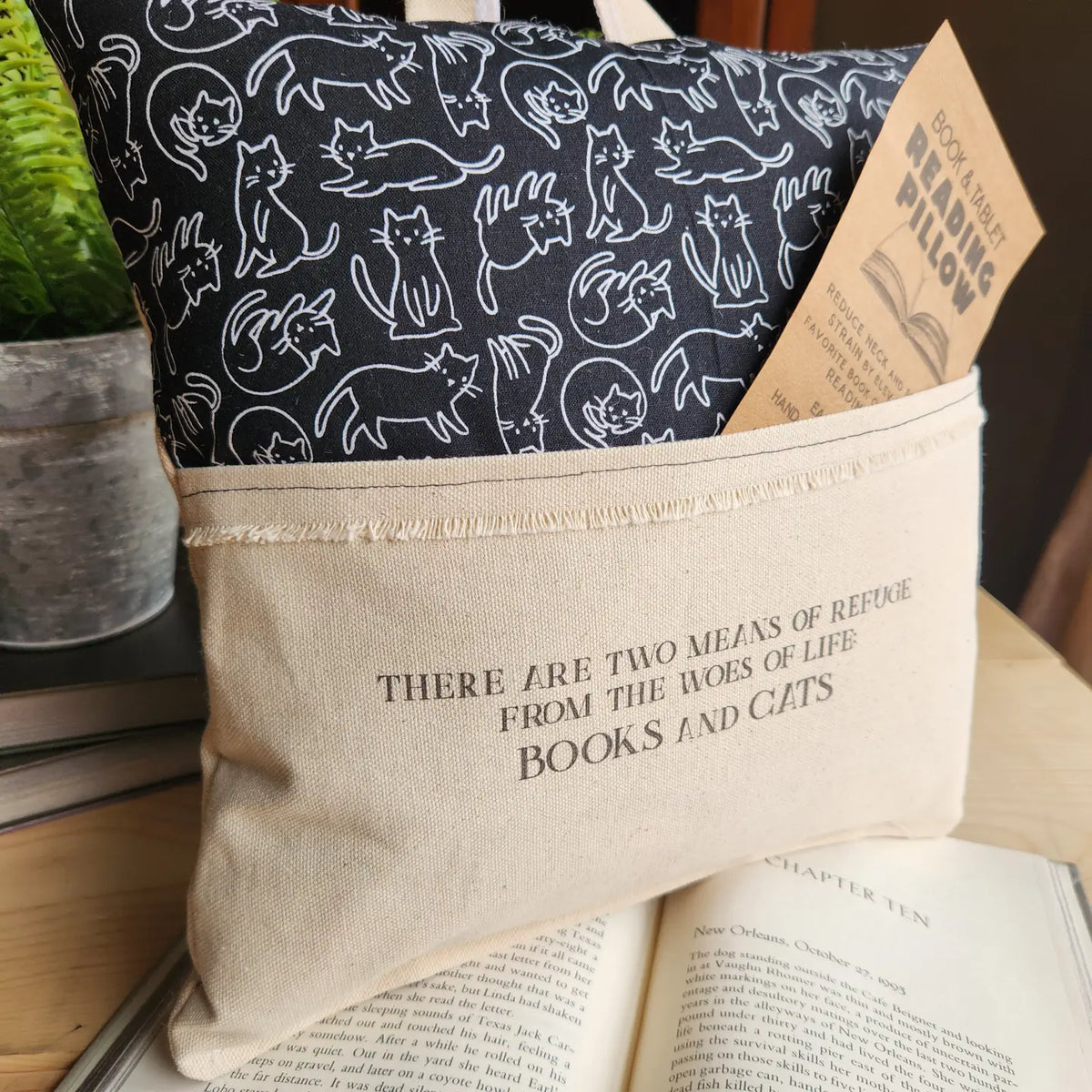 Books and Cats Reading Pillow