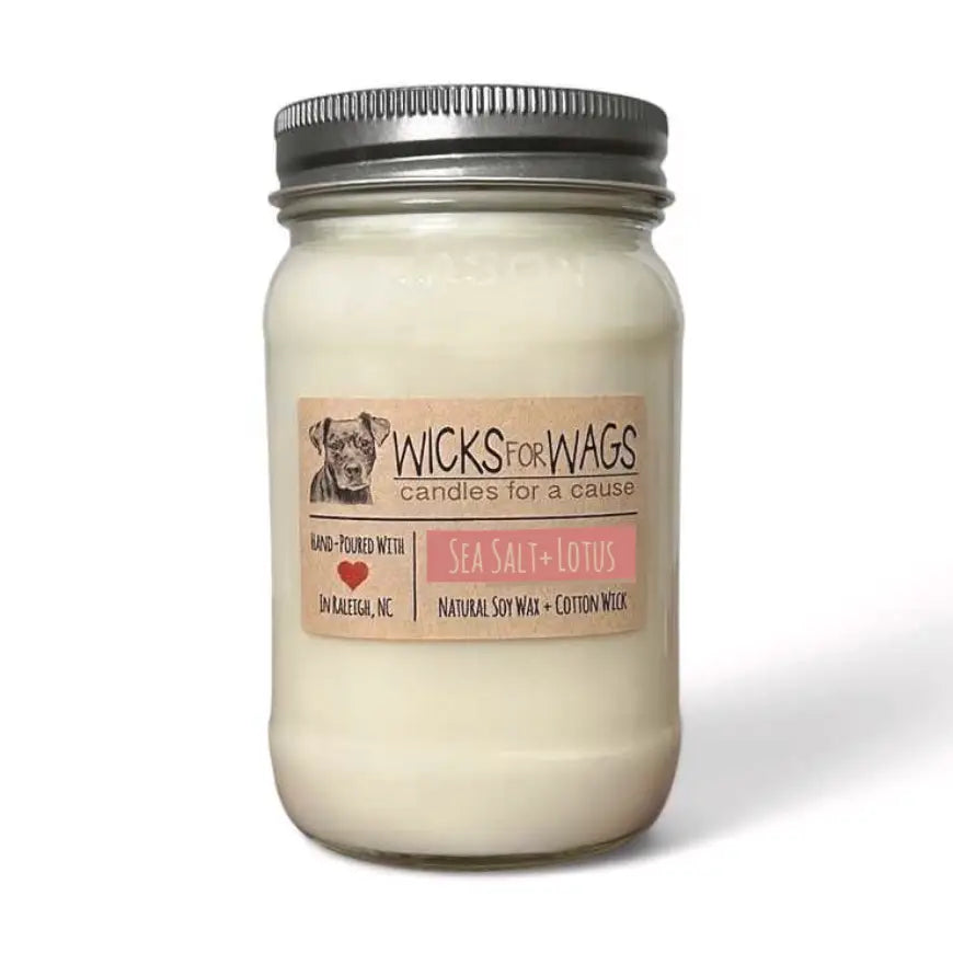 Wicks for Wags - Candles For A Cause - Large Mason Jar