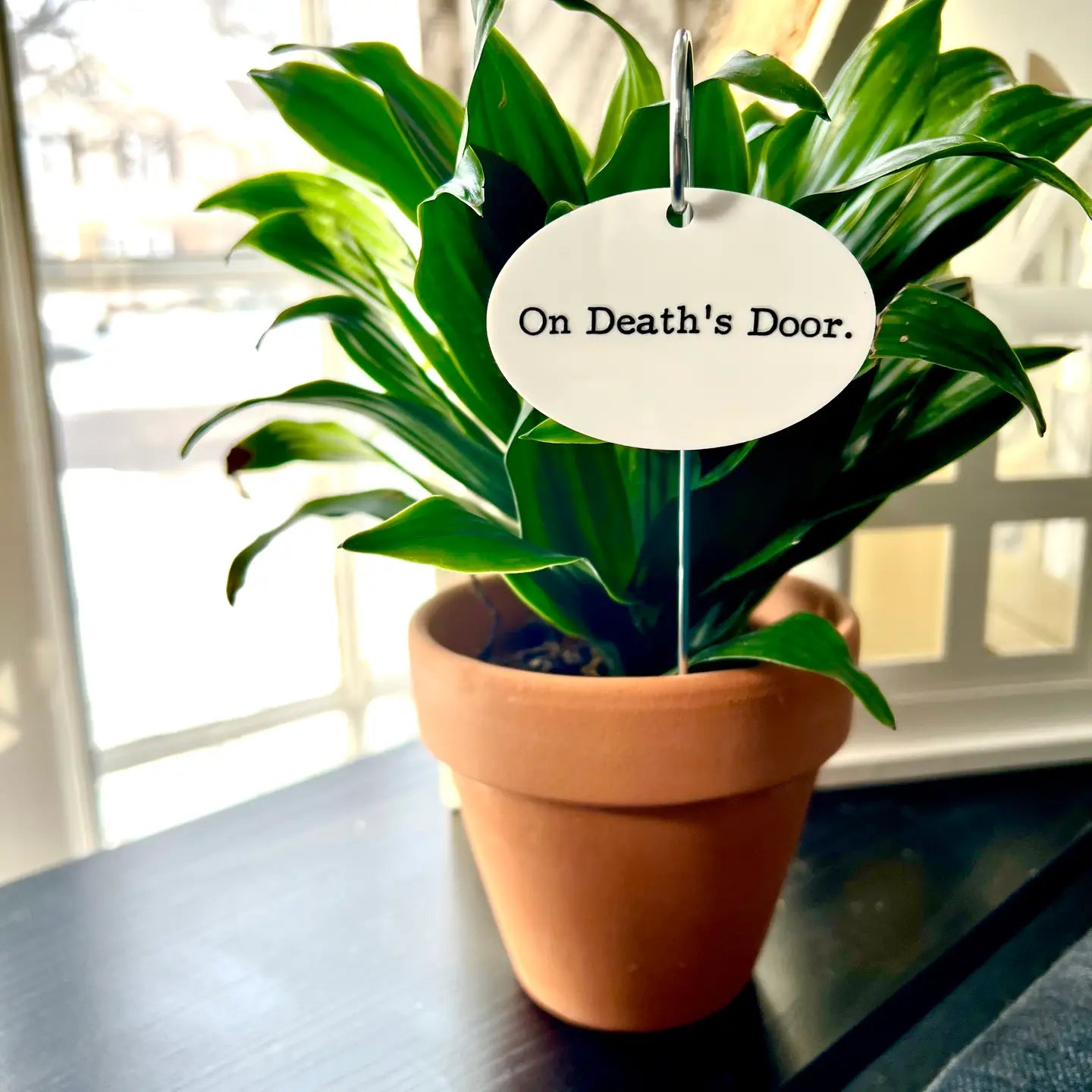 On Death's Door Flower Pot - Plant Stake