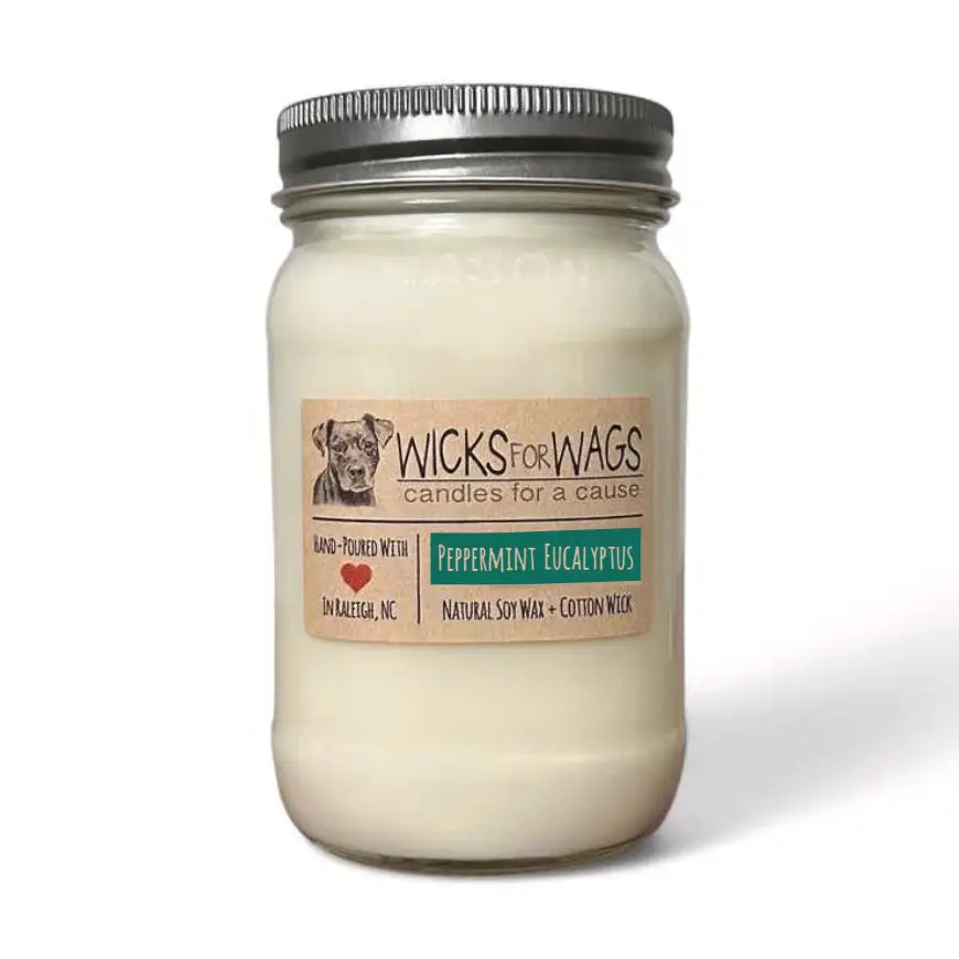 Wicks for Wags - Candles For A Cause - Large Mason Jar