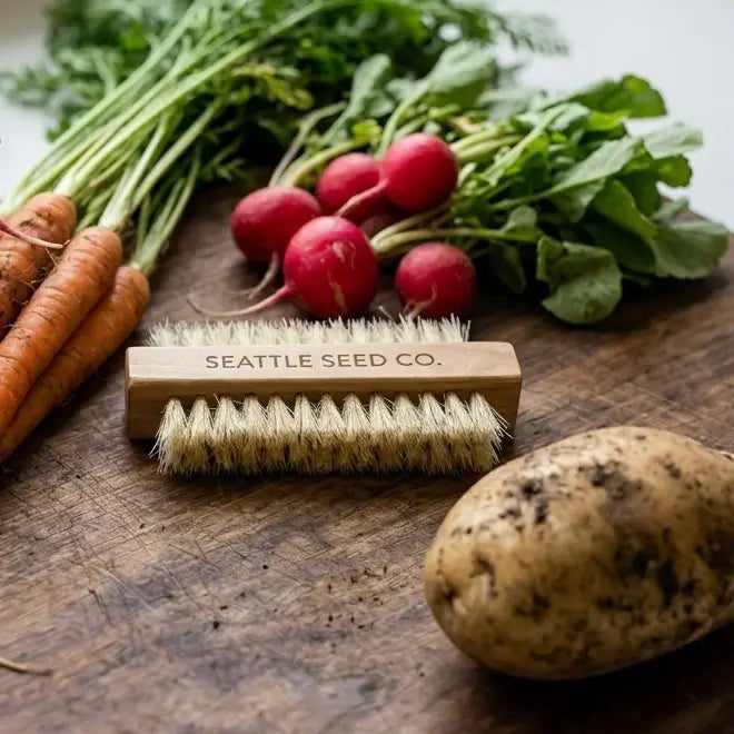 Vegetable and Hand & Nail Brush