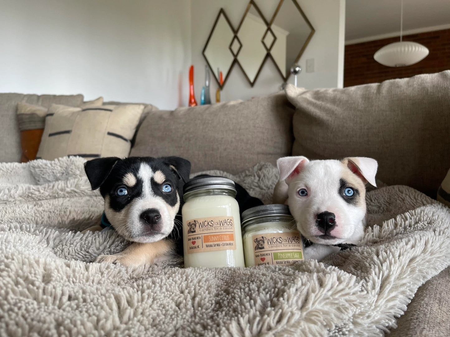 Wicks for Wags - Candles For A Cause - Large Mason Jar