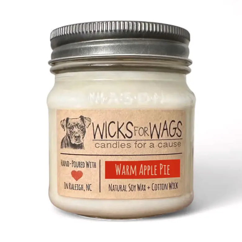 Wicks for Wags - Candles For A Cause - Small Mason Jar