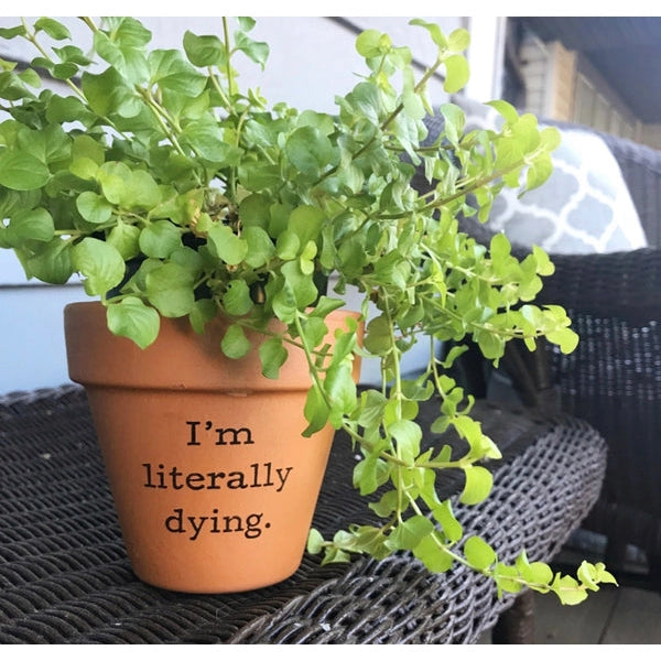 Literally Dying Terra Cotta Flower Pot