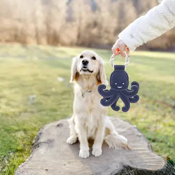 Out of Reach Canvas Dog Toy On Rope