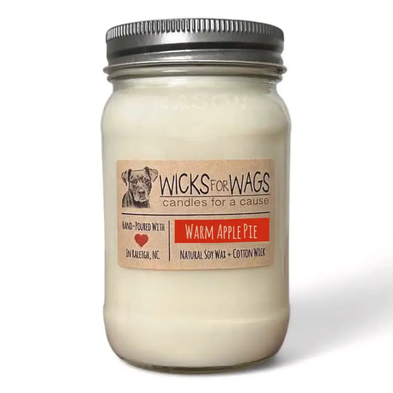 Wicks for Wags - Candles For A Cause - Large Mason Jar