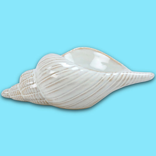 Conch Shell Sitter