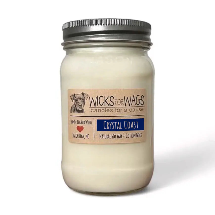 Wicks for Wags - Candles For A Cause - Large Mason Jar