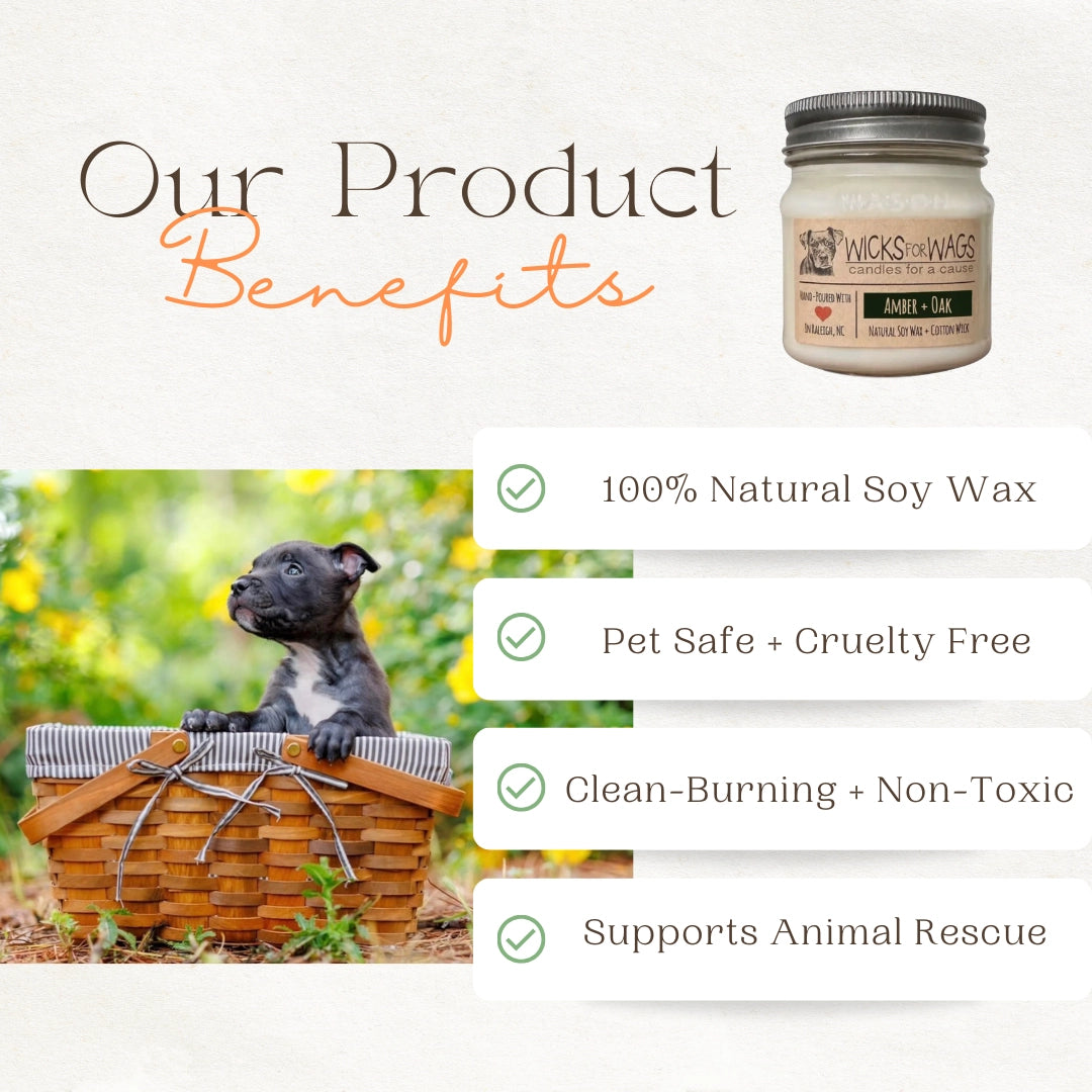 Wicks for Wags - Candles For A Cause - Large Mason Jar