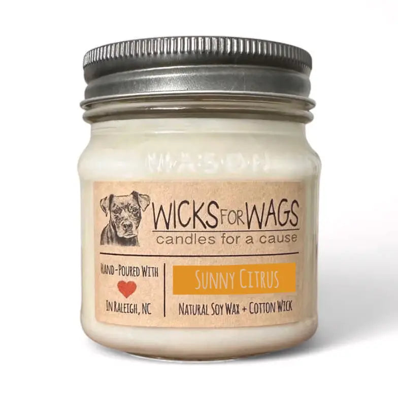 Wicks for Wags - Candles For A Cause - Small Mason Jar