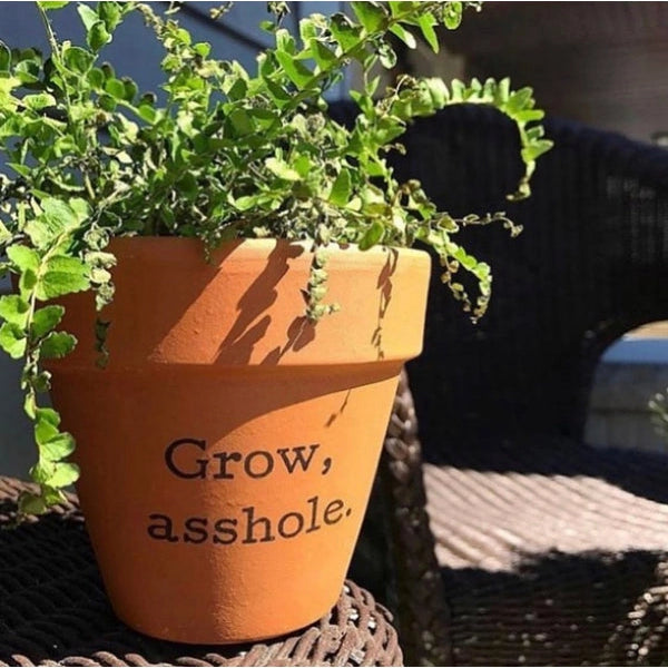 Grow, A-Hole Terra Cotta Flower Pot